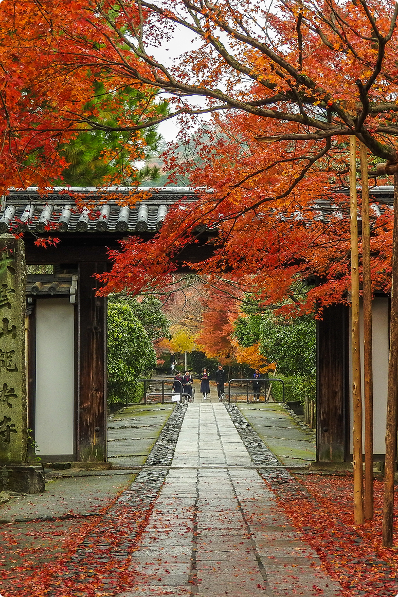 autumn-kyoto