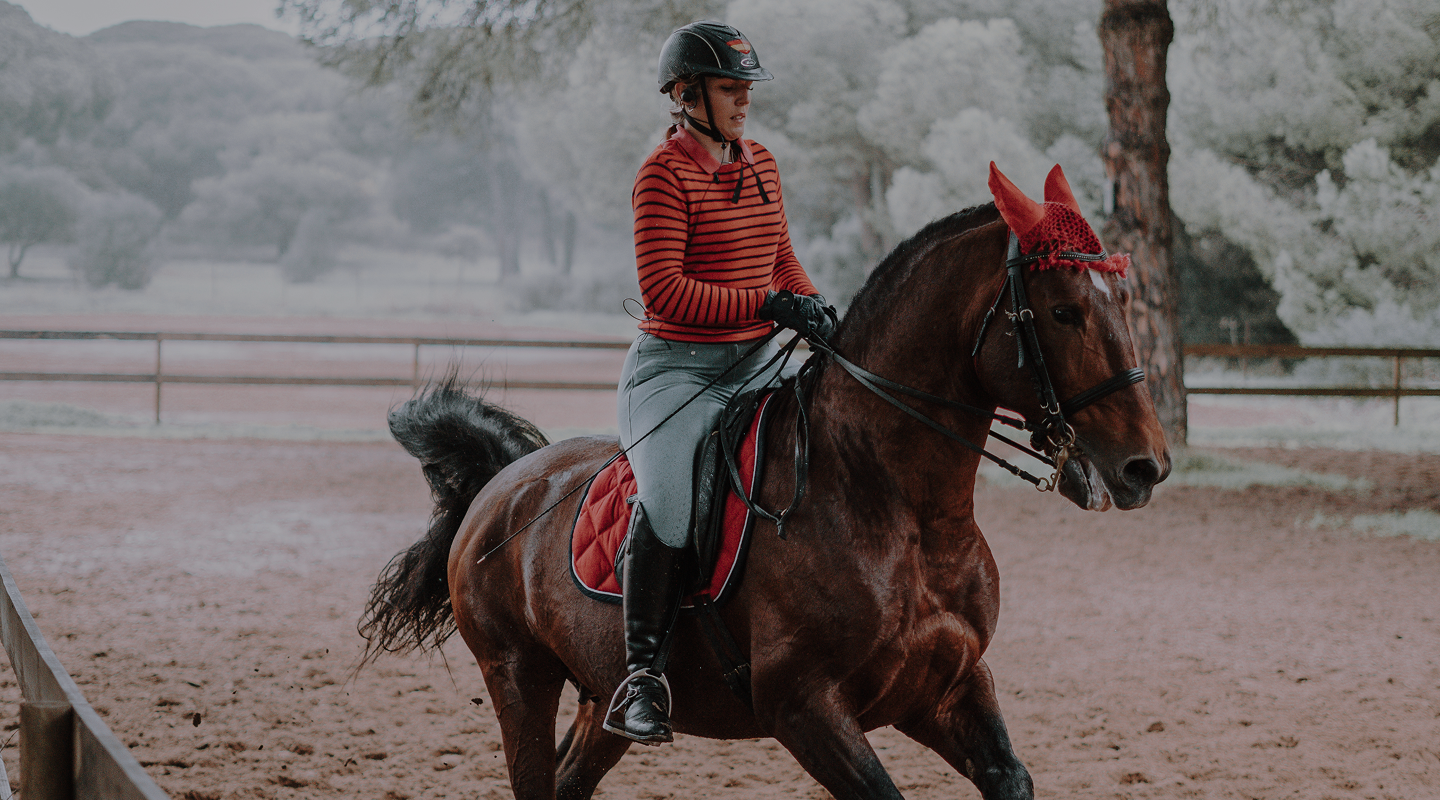 vertical-shot-caucasian-woman-riding-brown-horse-horse-arena