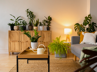 Sustainable Home Decor: Eco-Friendly Choices
