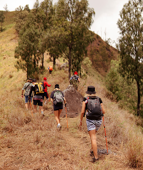 group-people-walking-trek-bali (1)