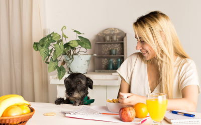 At-Home Grooming Tips from the Professionals