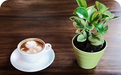 Pastries Made for Coffee Lovers